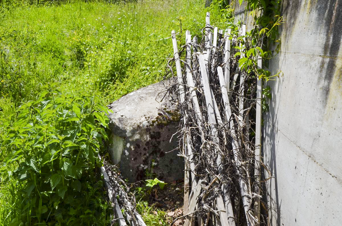 Ligne Maginot - HIPPOLTSKIRCH 3 - (Blockhaus pour canon) - La seule partie encore visible de la coupole - D. Froehly