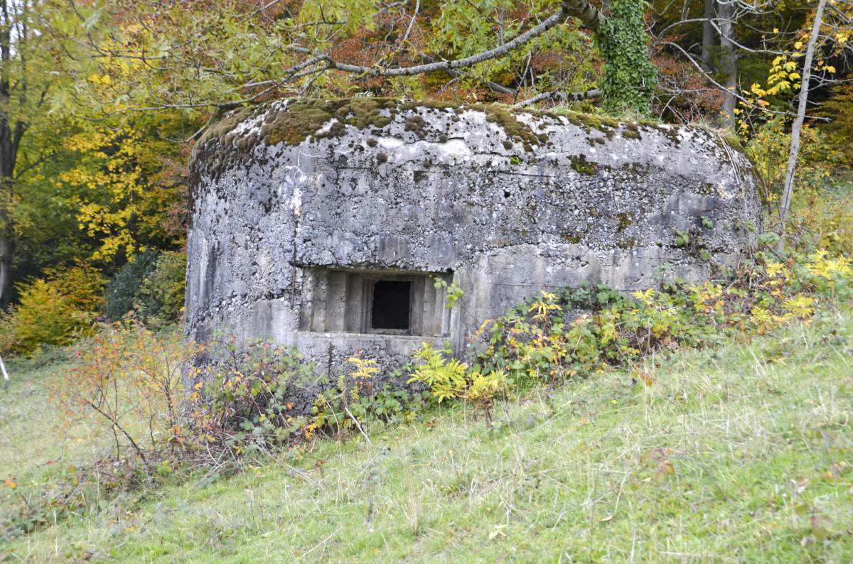 Ligne Maginot - GRAND KOHLBERG NORD - (Blockhaus pour arme infanterie) - Vue sur le créneau mitrailleuse - D. Froehly