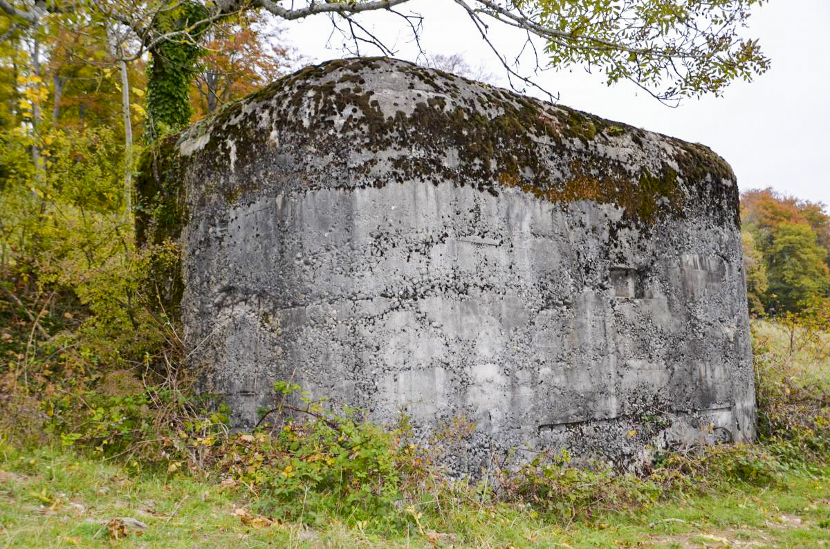 Ligne Maginot - GRAND KOHLBERG NORD - (Blockhaus pour arme infanterie) - Vue coté sud, sur le créneau fusil. - D. Froehly