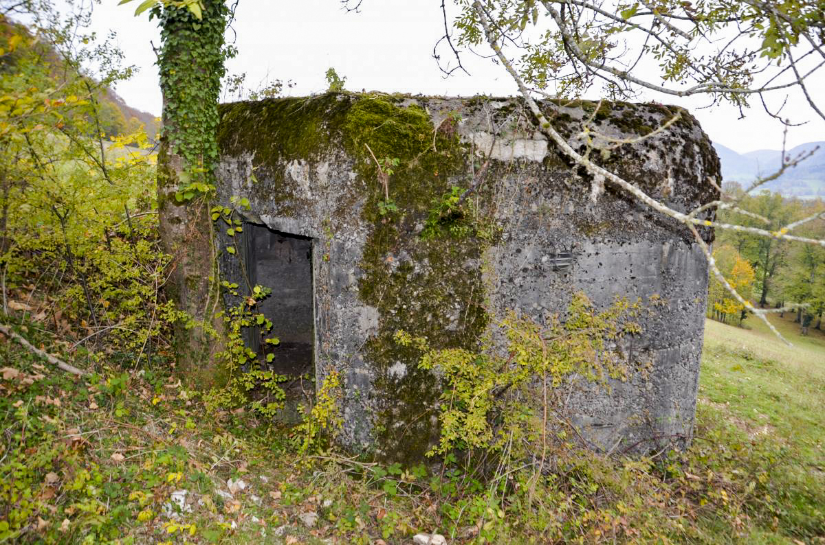 Ligne Maginot - GRAND KOHLBERG NORD - (Blockhaus pour arme infanterie) - Vue coté nord, avec l'entrée - D. Froehly