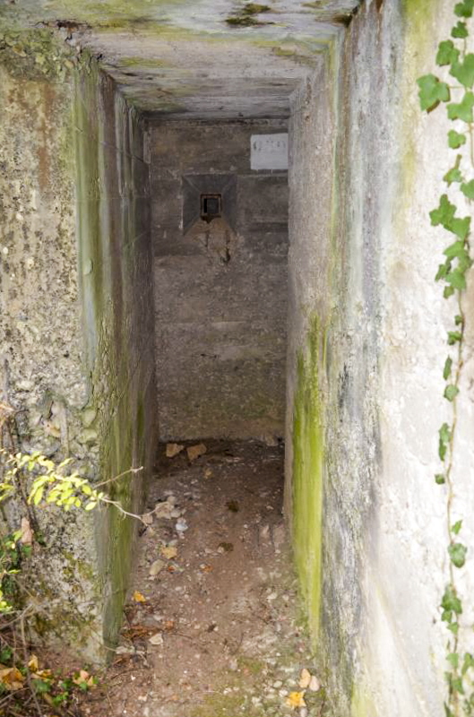 Ligne Maginot - GRAND KOHLBERG NORD - (Blockhaus pour arme infanterie) - L'entrée - D. Froehly