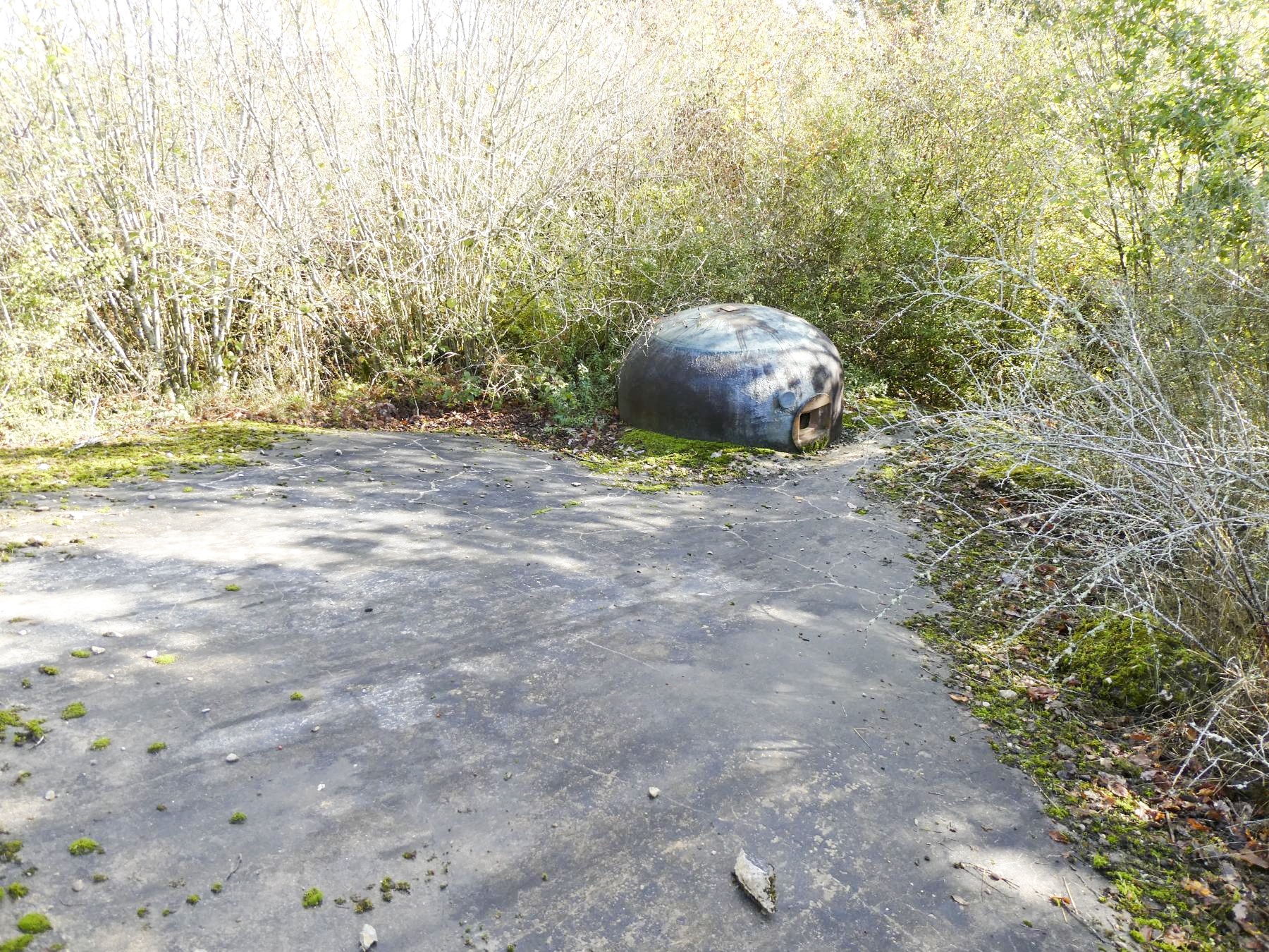 Ligne Maginot - LE CHESNOIS - CHENOIS - (Ouvrage d'artillerie) - Bloc 1
Cloche GFM 1 - ELLENA - CUNY