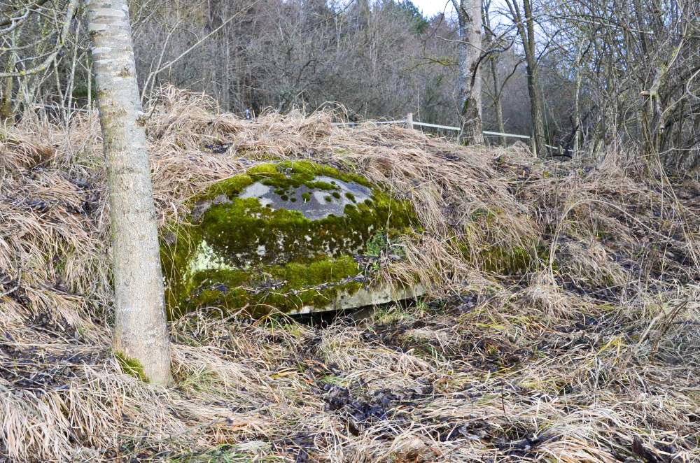 Ligne Maginot - HUTTINGUE OUEST 1 - (Blockhaus pour arme infanterie) - Vue de la coupole 7ème région - D. Froehly