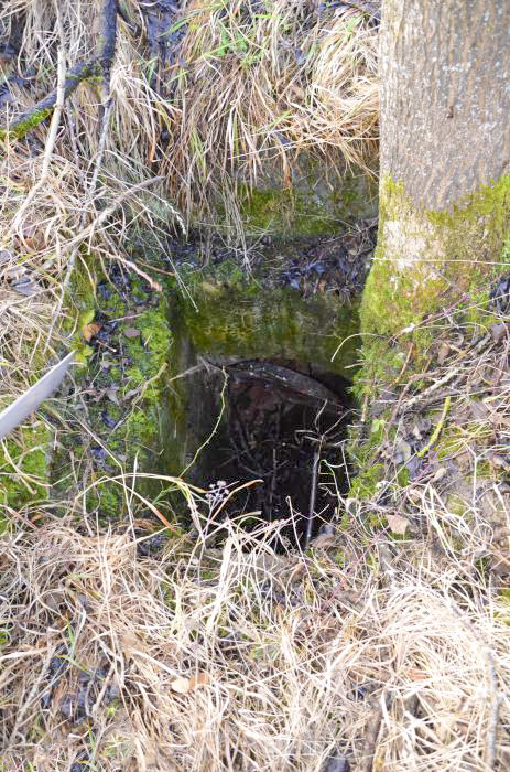 Ligne Maginot - HUTTINGUE OUEST 1 - (Blockhaus pour arme infanterie) - Entrée en puits - D. Froehly