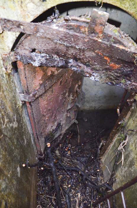 Ligne Maginot - HUTTINGUE OUEST 1 - (Blockhaus pour arme infanterie) - Entrée en puits, la porte au fond du puits. - D. Froehly
