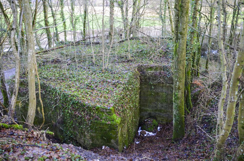 Ligne Maginot - HUTTINGUE EST - (Blockhaus pour canon) - Vue sur la façade Ouest avec l'entrée du canon au bas du ravin. - D. Froehly