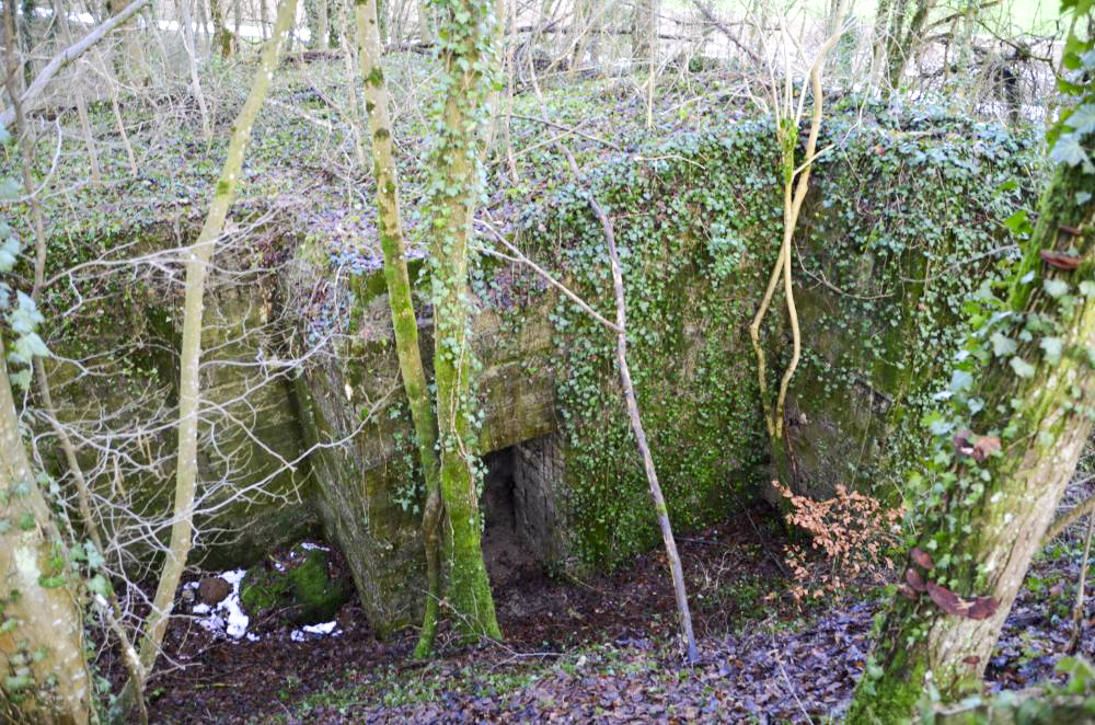 Ligne Maginot - HUTTINGUE EST - (Blockhaus pour canon) - Façade Sud avec l'entrée des hommes. - D. Froehly