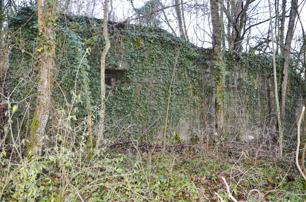 Ligne Maginot - HUTTINGUE EST - (Blockhaus pour canon) - Façade est, avec un créneau de tir FM donnant vers Oltingue. - D. Froehly