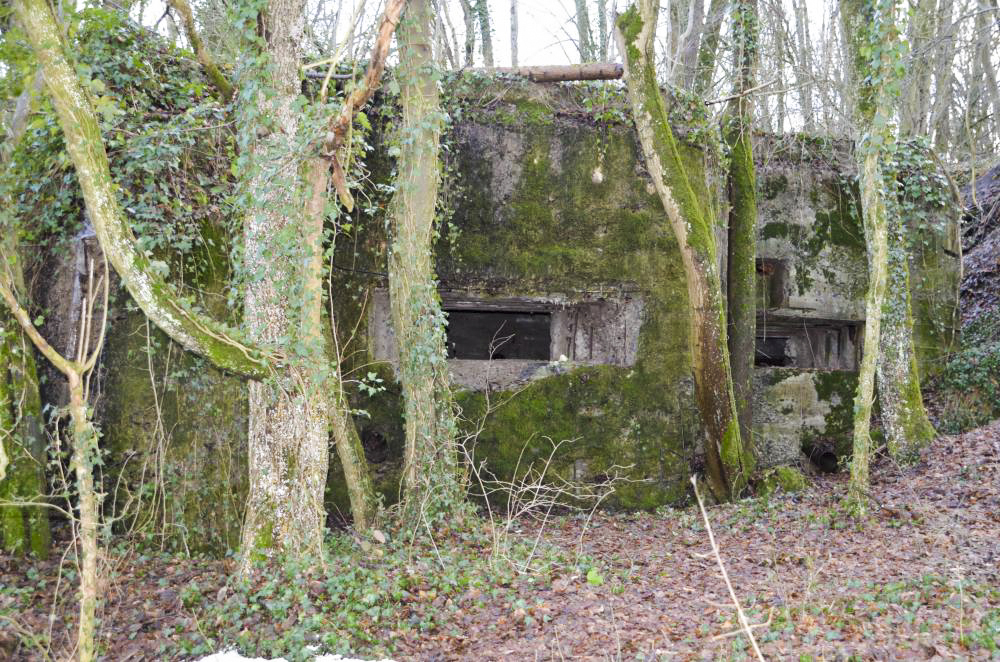 Ligne Maginot - HUTTINGUE EST - (Blockhaus pour canon) - Façade Nord, avec gauche le créneau du canon et à droite le créneau mitrailleuse. - D. Froehly