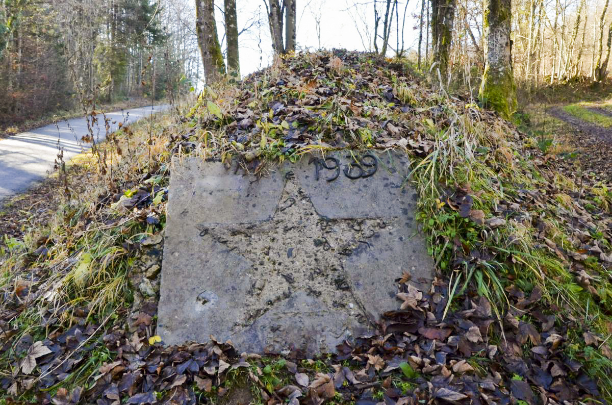 Ligne Maginot - 8° RTM - MONUMENT - (Divers) - Monument dégradé.
Écusson détruit - D. Froehly