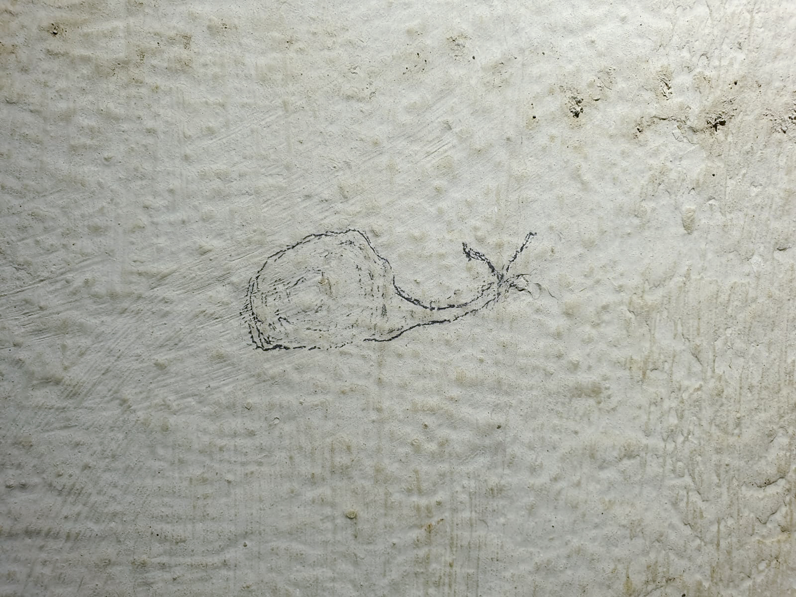 Ligne Maginot - HAUT POIRIER - (Ouvrage d'infanterie) - Bloc 1
Un petit dessin dans les toilettes du bloc: un escargot - Markus Lauer