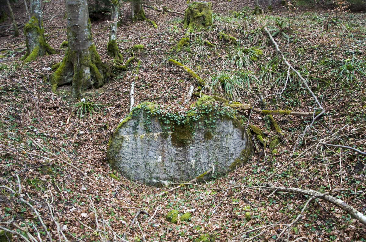 Ligne Maginot - NEUNEICH 6 - (Abri) - Mur du fond, le seul vestige - D. Froehly