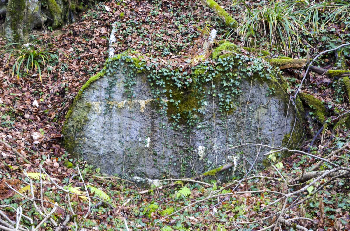 Ligne Maginot - NEUNEICH 6 - (Abri) - Mur du fond, le seul vestige - D. Froehly