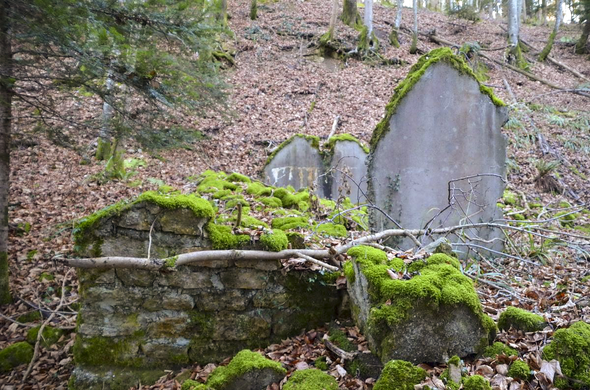 Ligne Maginot - NEUNEICH 3 - (Abri) -  - D. Froehly