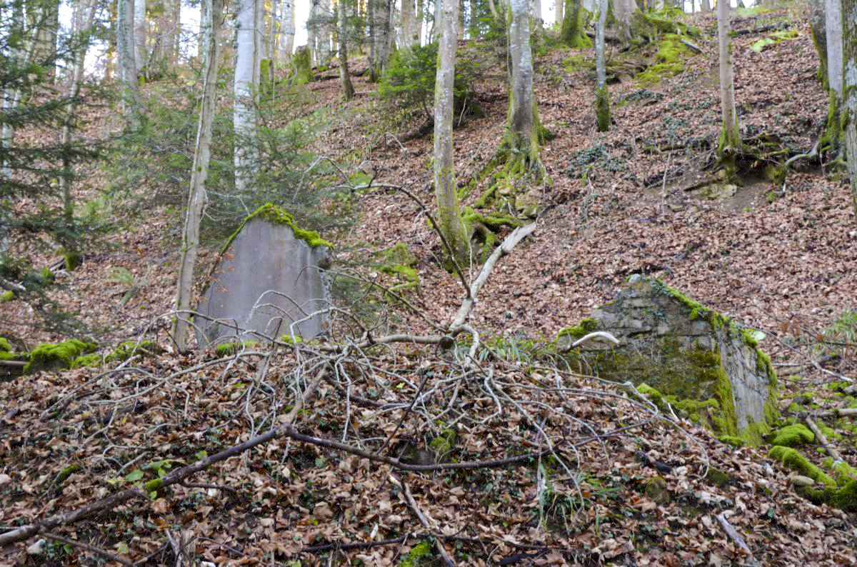 Ligne Maginot - NEUNEICH 3 - (Abri) -  - D. Froehly