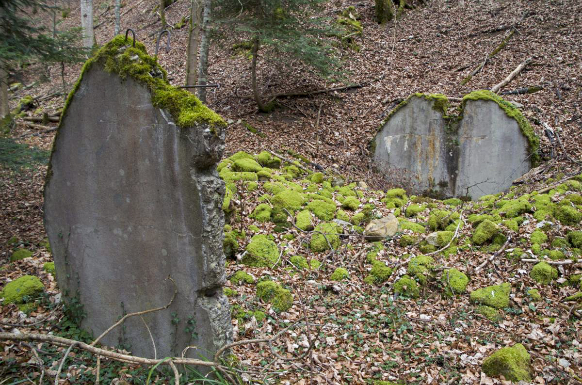 Ligne Maginot - NEUNEICH 3 - (Abri) -  - D. Froehly