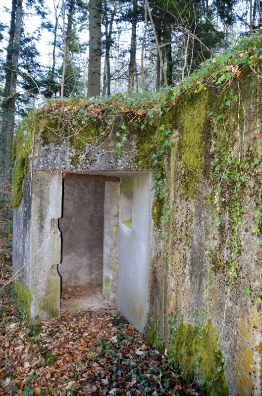 Ligne Maginot - NEUNEICH (SOUS-QUARTIER CENTRE) - (PC de Sous-Quartier) - L'entrée coté Est - D. Froehly