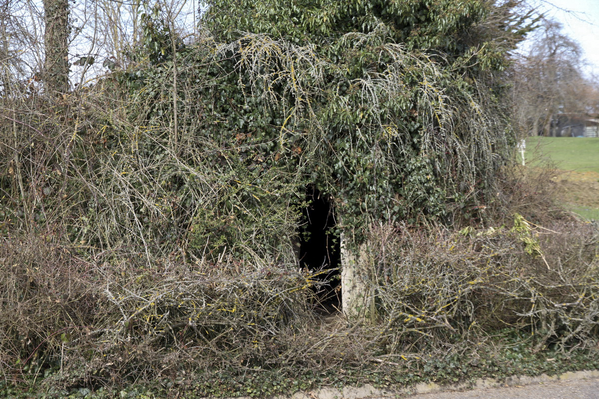 Ligne Maginot - NEUEHAEUSER (PC GUERRE DU III/171° RIF) - (PC de Quartier) - Abri à 1 alvéole - Alain Perouffe