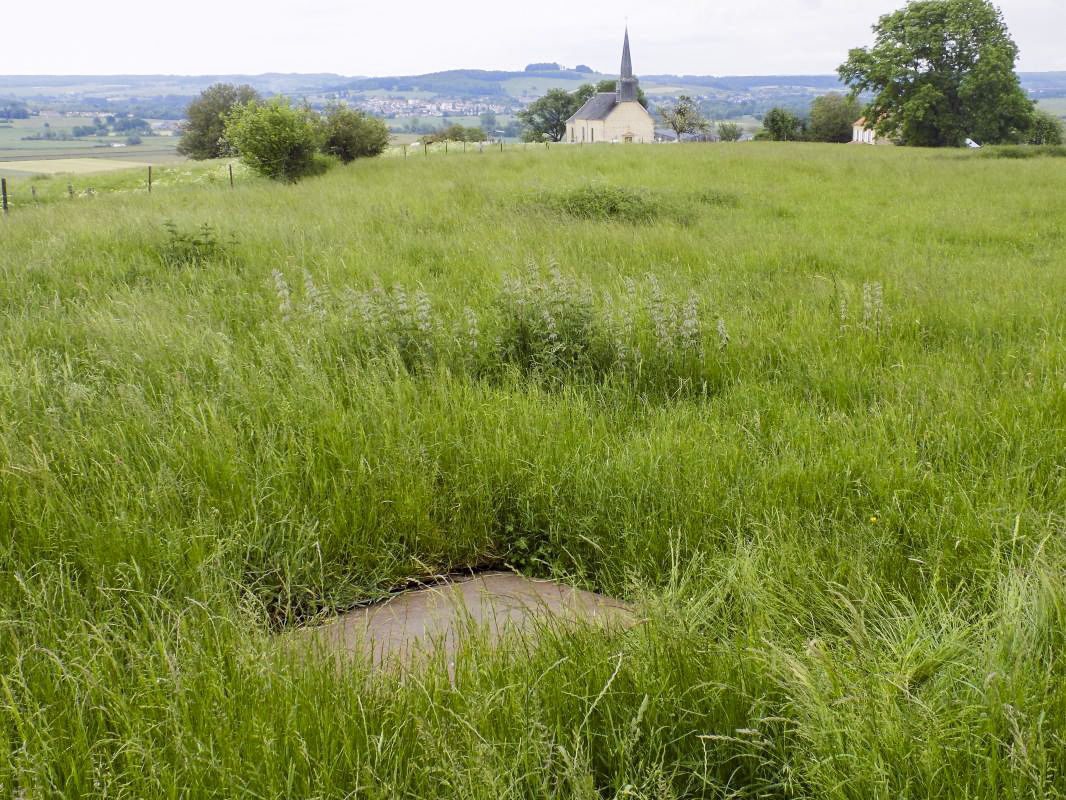 Ligne Maginot - EUILLY - (Chambre de coupure) - Vue vers l'est, l'église d'Euilly - R Tucker