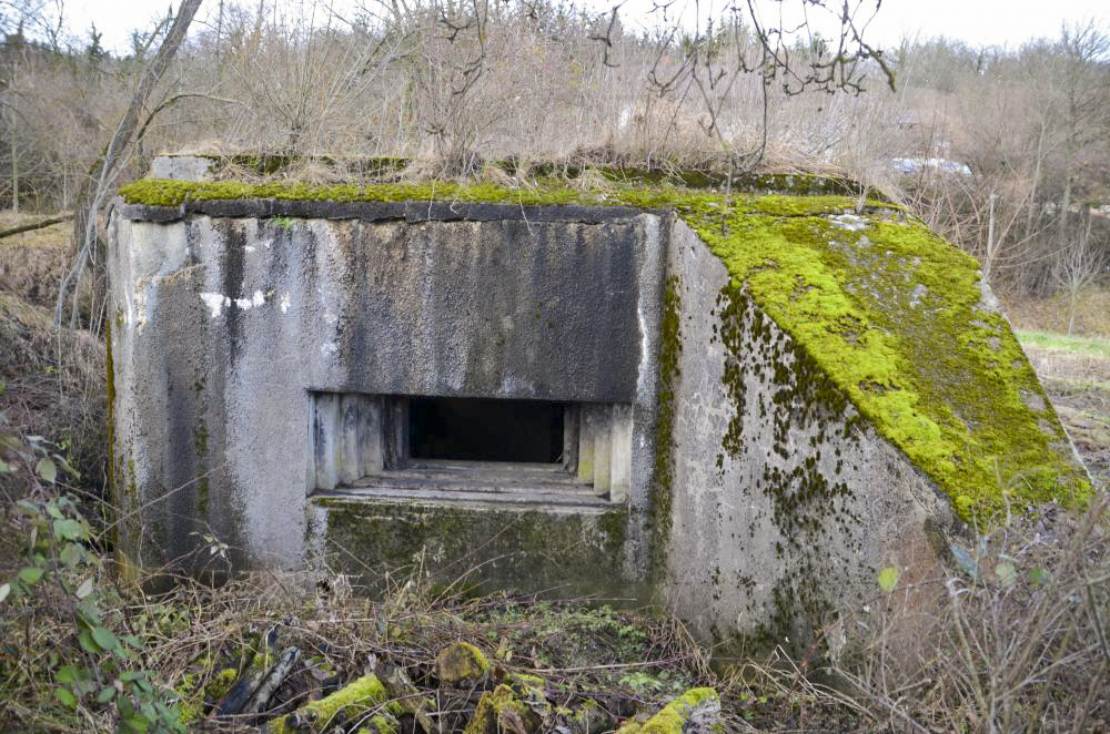 Ligne Maginot - OLTINGUE SUD 3 - (Blockhaus pour canon) - Créneau de tir canon - D. Froehly