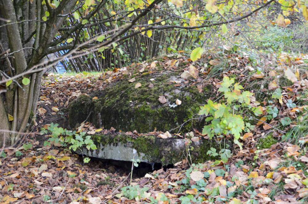 Ligne Maginot - OLTINGUE NORD 3 - (Blockhaus pour canon) -  - D. Froehly