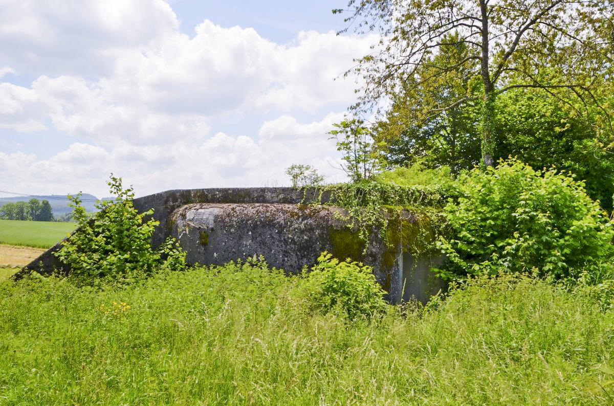 Ligne Maginot - PFAFFENLOCH NORD EST - (Blockhaus pour arme infanterie) -  - D Froehly
