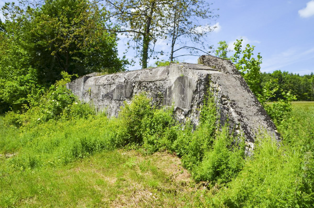 Ligne Maginot - PFAFFENLOCH NORD EST - (Blockhaus pour arme infanterie) -  - D Froehly