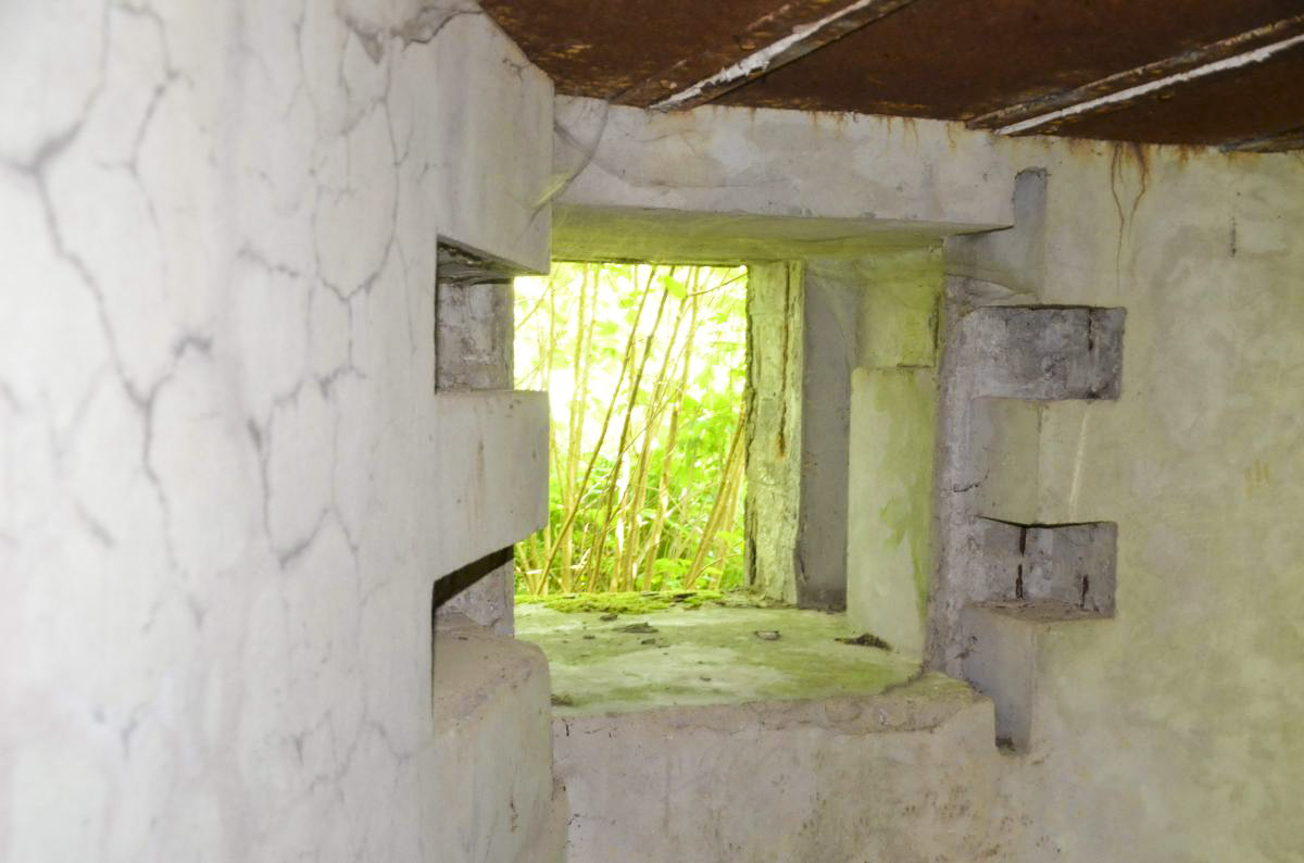 Ligne Maginot - PFAFFENLOCH NORD EST - (Blockhaus pour arme infanterie) -  - D Froehly