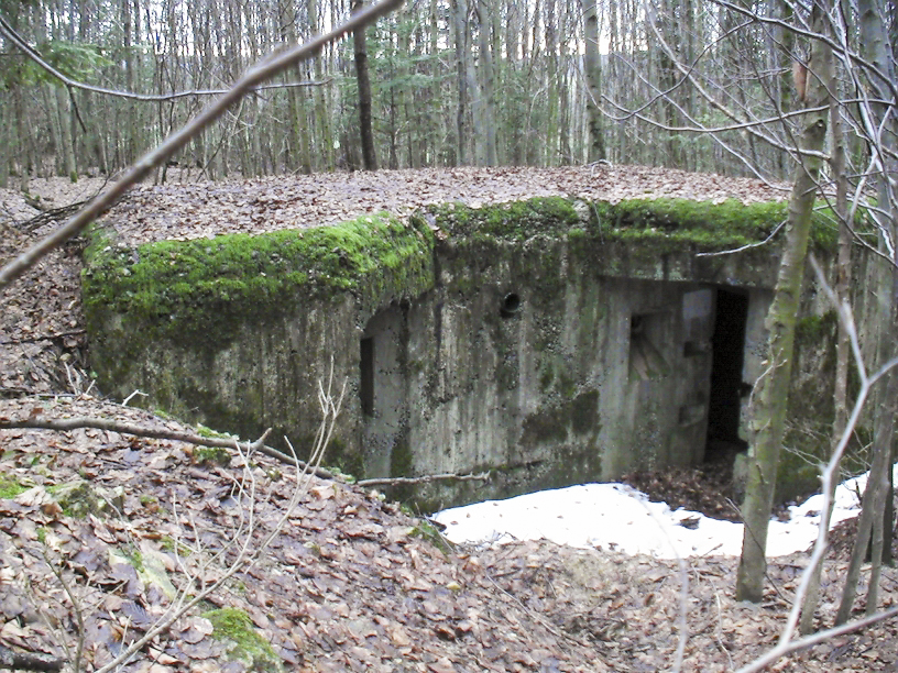 Ligne Maginot - Vue d'ensemble cotée entrée - L'abri est semi enterré est relativement difficile à trouver, aucun chemin ne mène à l'ouvrage. - Félix Dr. Dimitric