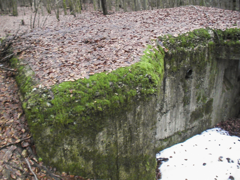 Ligne Maginot - Gros plan sur le renfort de l'entrée nord - Vue de dessus, l’abri est semi enterré. - Félix Dr. Dimitric