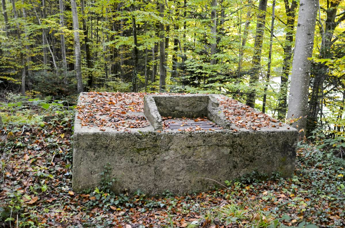 Ligne Maginot - PFAFFENLOCH - RéSERVOIR D'EAU - (Divers) -  - D. Froehly