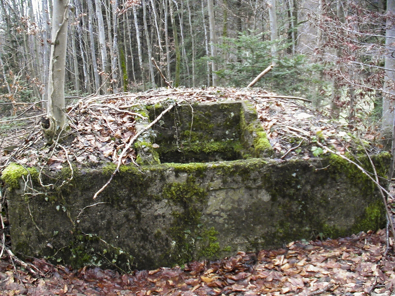 Ligne Maginot - PFAFFENLOCH - RéSERVOIR D'EAU - (Divers) - C'est par cette trappe de visite qu'on remplissait la citerne. De l'autre coté se trouve la vanne, sur la gauche à environ 300 mètres se trouve l’abri PC du Pfaffenloch. - Félix Dr. Dimitric