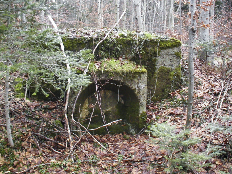 Ligne Maginot - PFAFFENLOCH - RéSERVOIR D'EAU - (Divers) - Vanne de vidange ?
Cette vue montre la partie de service, la vanne a disparue mais le filetage ou elle se trouvait est encore visible dans la mousse au bas de la photos. Le trou fait environs 3cm de diamètre. Notez à l’extrême droite dans l'angle le filet gris de la chaussé goudronné, la citerne est exactement a son niveau, en été avec les fougères il est impossible de deviner sa présence. - Félix Dr. Dimitric