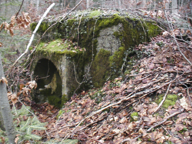 Ligne Maginot - PFAFFENLOCH - RéSERVOIR D'EAU - (Divers) - Vue coté service
La photo est prise en direction du nord-ouest, c'est a dire vers Winkel qui comporte sur la route qui y mène le PC-Abris de la charrière et ses 4 abris en tôle métro pour troupes. Notez que Winkel est la commune ou la rivière L'ILL qui traverse tout l'Alsace prend sa source. - Félix Dr. Dimitric