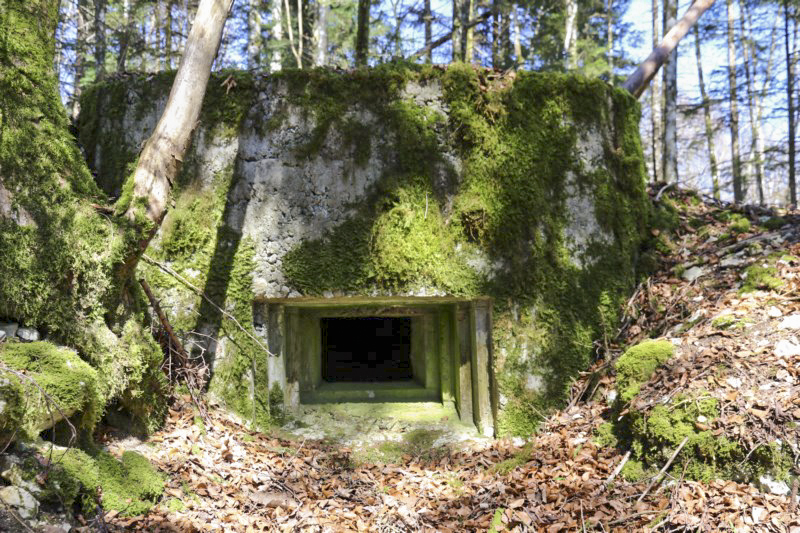 Ligne Maginot - SAEGERKOPF EST - (Blockhaus pour arme infanterie) -  - Alain Perouffe