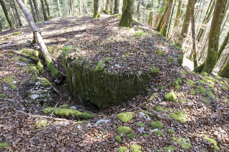 Ligne Maginot - SAEGERKOPF EST - (Blockhaus pour arme infanterie) -  - Alain Perouffe