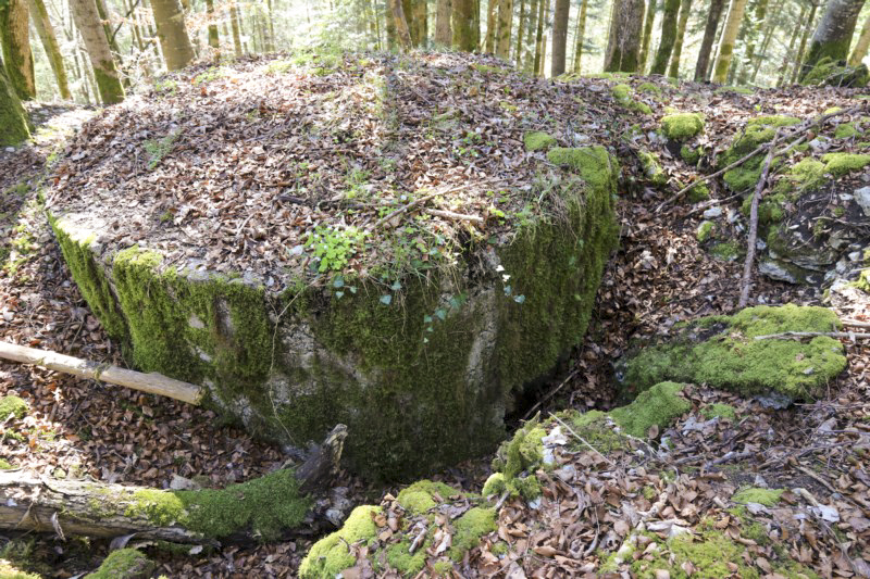 Ligne Maginot - SAEGERKOPF EST - (Blockhaus pour arme infanterie) -  - Alain Perouffe