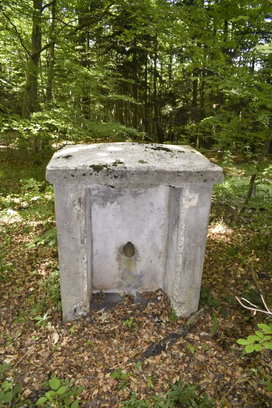 Ligne Maginot - STELLENBERG - (Chambre de coupure) -  - D. Froehly
