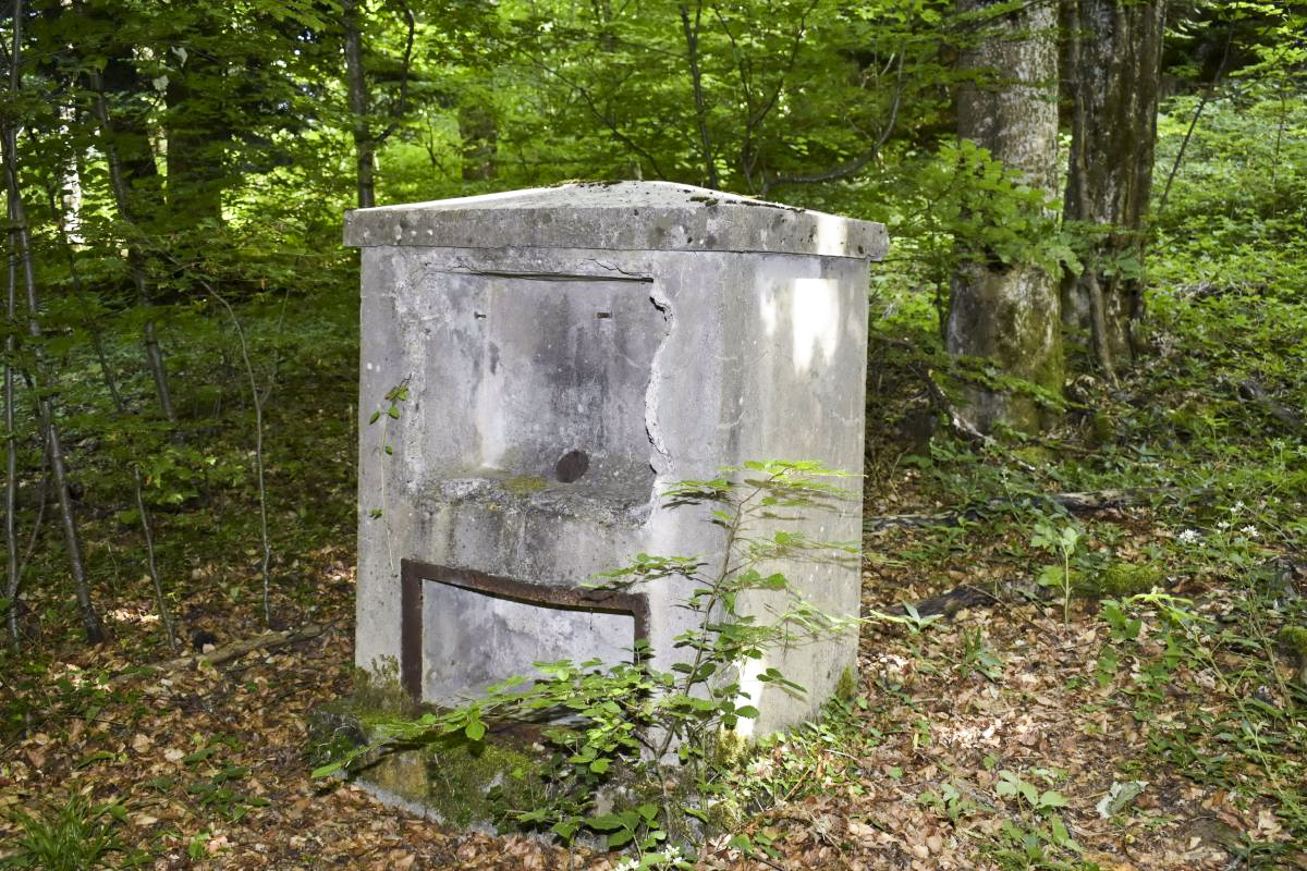 Ligne Maginot - STELLENBERG - (Chambre de coupure) -  - D. Froehly
