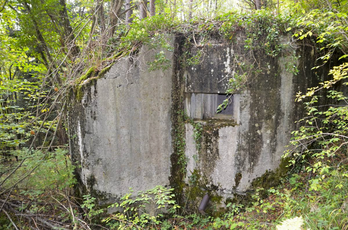 Ligne Maginot - STEINER FERME - (Blockhaus pour arme infanterie) - Façade avec créneau de tir mitrailleuse - D. Froehly
