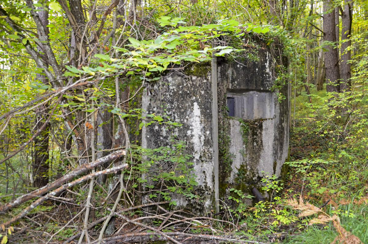 Ligne Maginot - STEINER FERME - (Blockhaus pour arme infanterie) - Façade avec créneau de tir mitrailleuse - D. Froehly