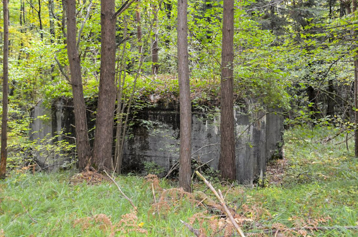 Ligne Maginot - STEINER FERME - (Blockhaus pour arme infanterie) -  - D. Froehly