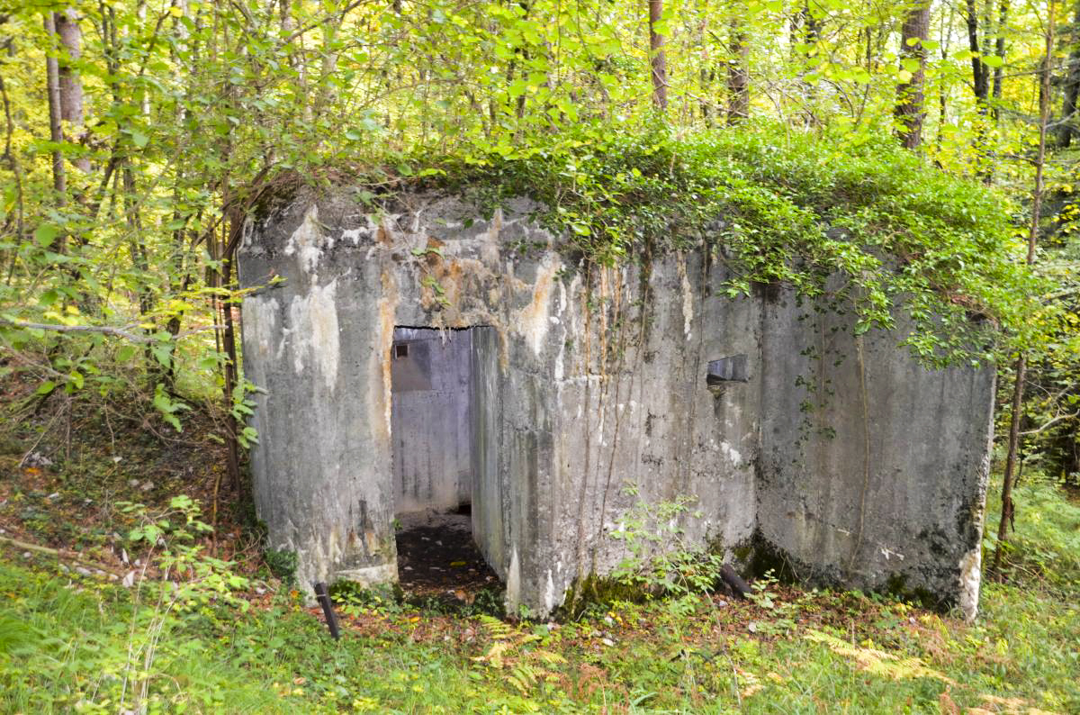 Ligne Maginot - STEINER FERME - (Blockhaus pour arme infanterie) -  - D. Froehly