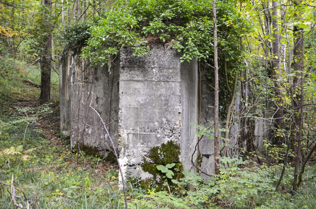 Ligne Maginot - STEINER FERME - (Blockhaus pour arme infanterie) -  - D. Froehly