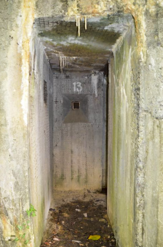 Ligne Maginot - STEINER FERME - (Blockhaus pour arme infanterie) - Couloir d'accès et son créneau de défence - D. Froehly