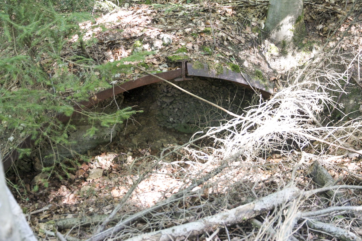 Ligne Maginot - STEINER EST - (Abri) -  - JOLAS, Jean-Michel
