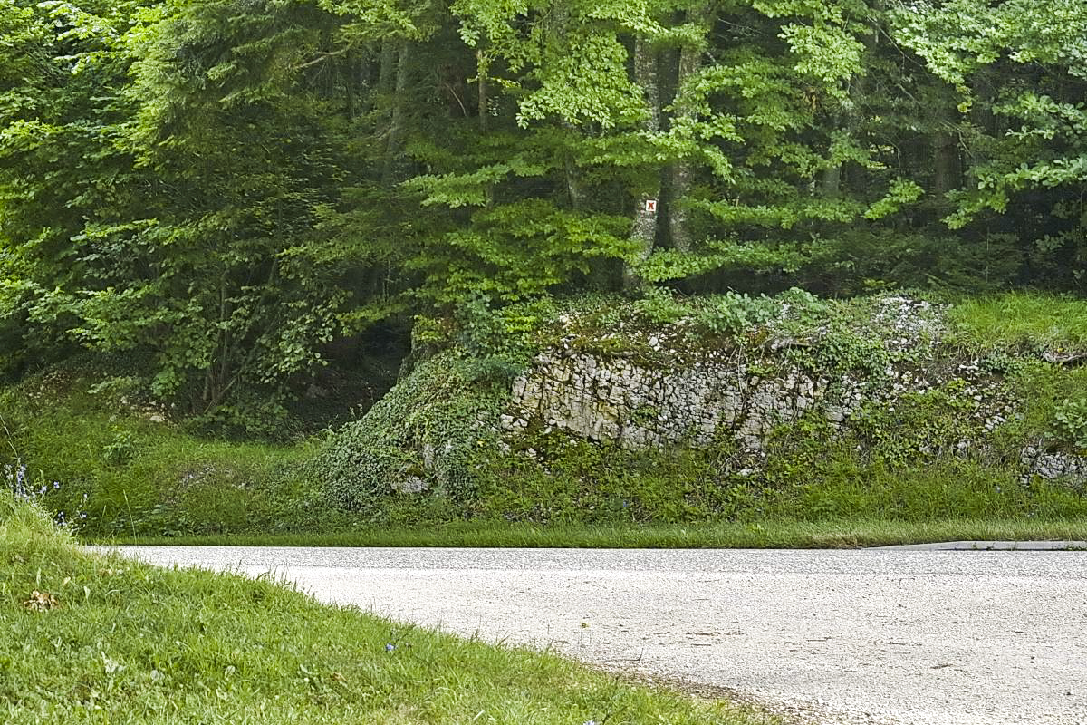 Ligne Maginot - VERRERIES - (Barrage de Route) - Fossé antichar - D.Froehly