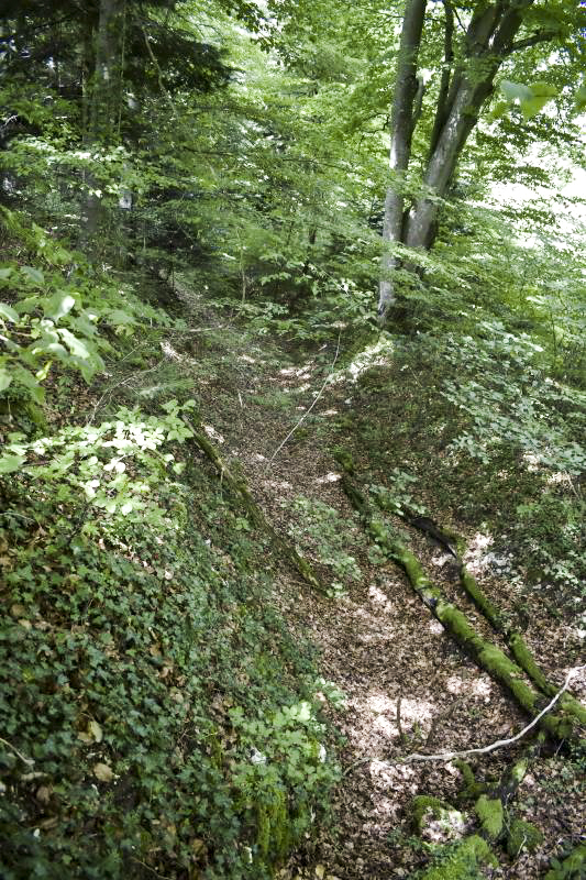 Ligne Maginot - VERRERIES - (Barrage de Route) - Fossé antichar - D.Froehly