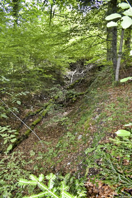 Ligne Maginot - VERRERIES - (Barrage de Route) - Fossé antichar - D.Froehly