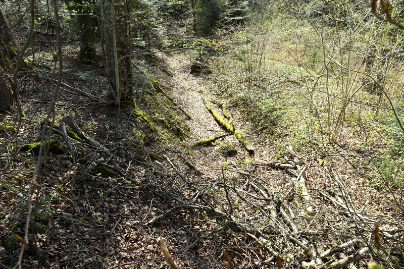 Ligne Maginot - VERRERIES - (Barrage de Route) - Fossé antichar - Alain Perouffe